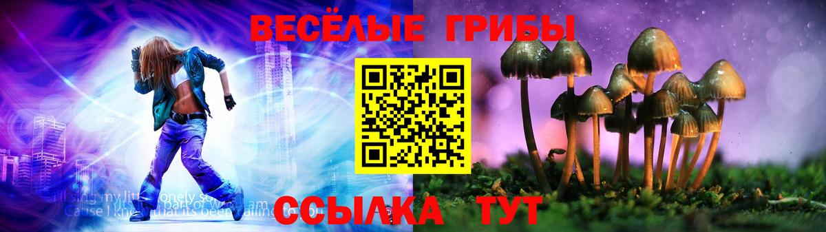 Псилоцибиновые грибы мухоморы Людиново